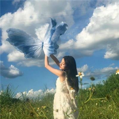 当金丝雀我月入百万